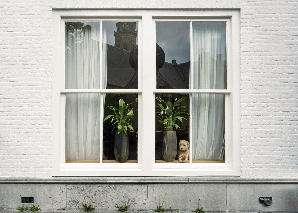 Exterior Point | NJ Roofing, Siding, and Windows Company