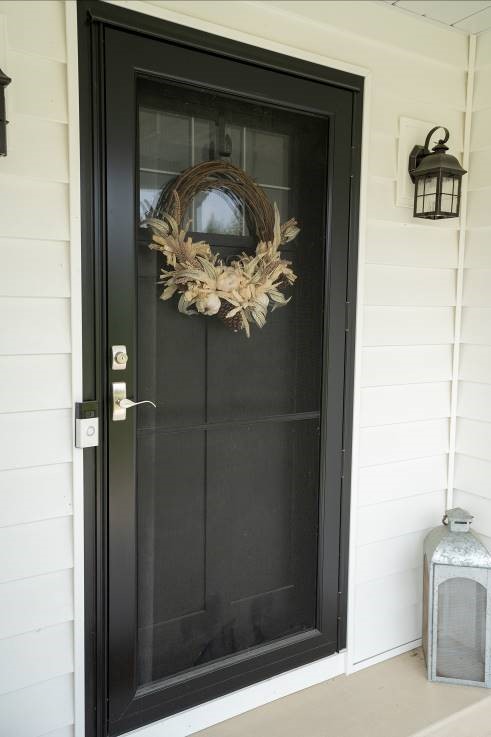 Entry and storm door black